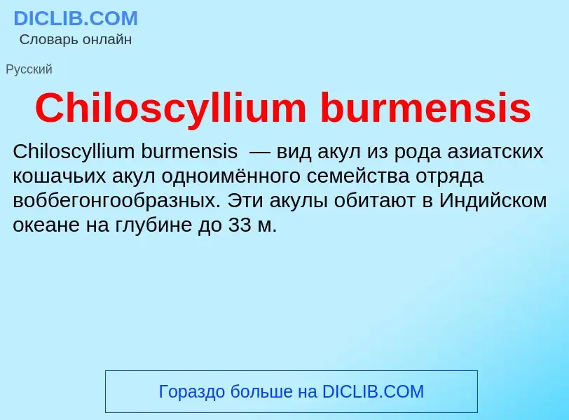 Что такое Chiloscyllium burmensis - определение