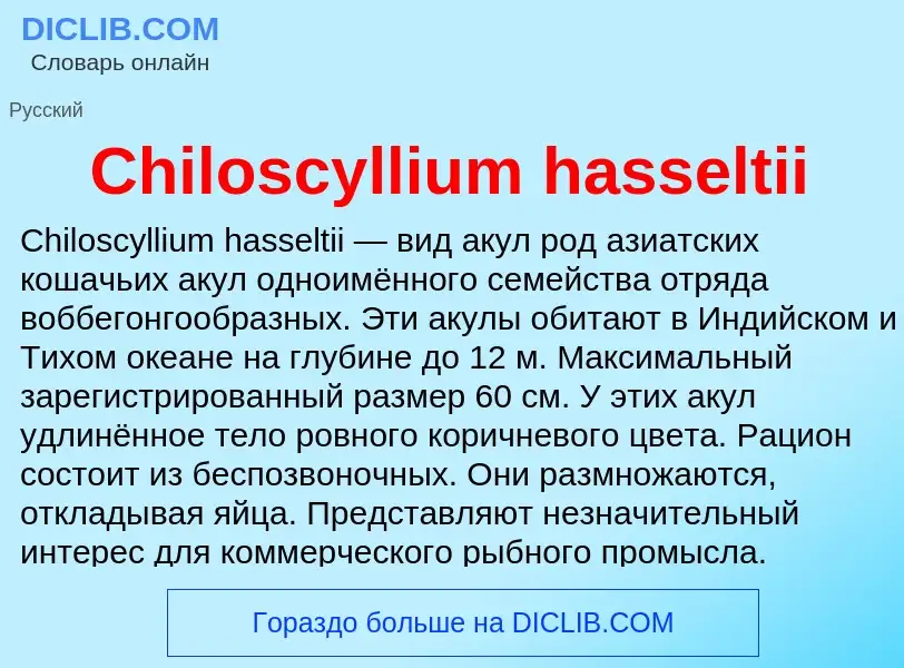 Что такое Chiloscyllium hasseltii - определение