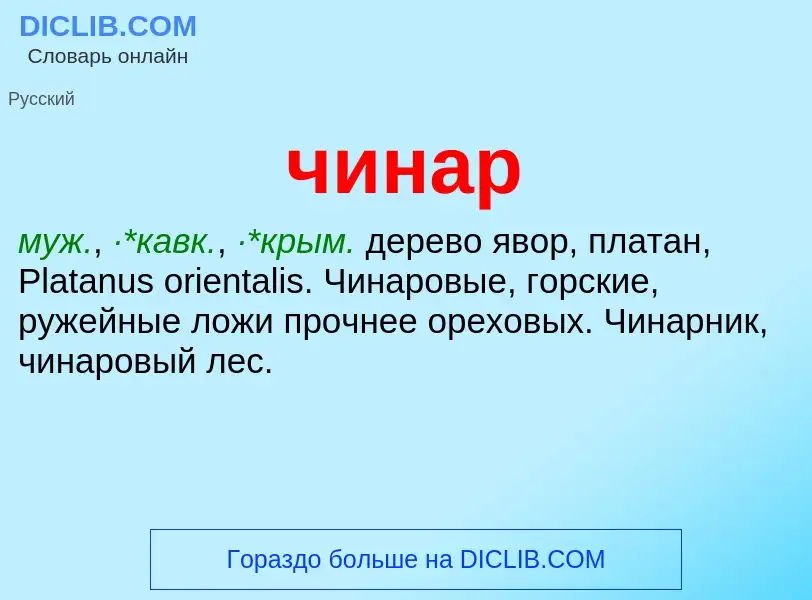 What is чинар - meaning and definition