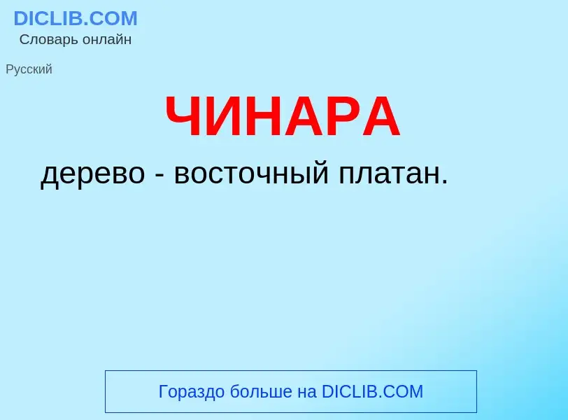 What is ЧИНАРА - definition