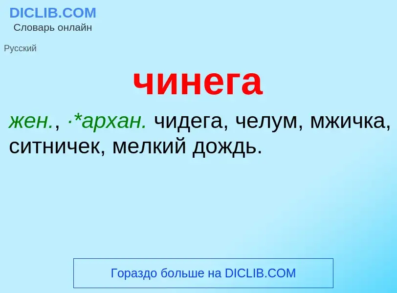 What is чинега - definition