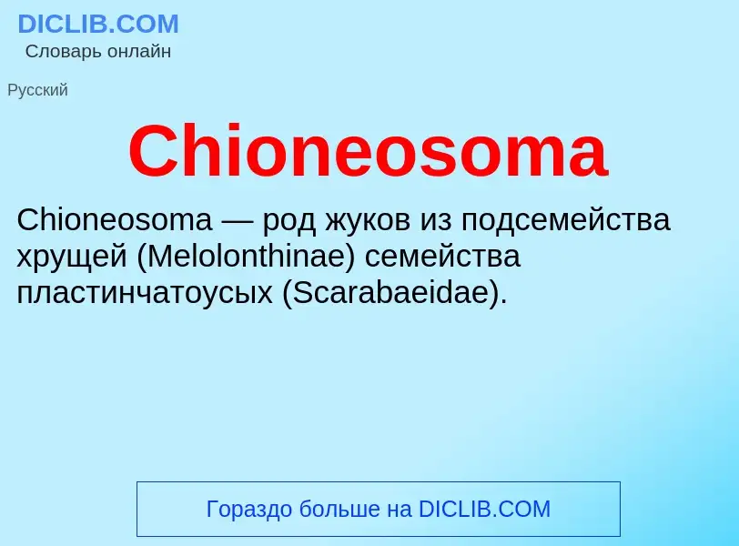 Что такое Chioneosoma - определение