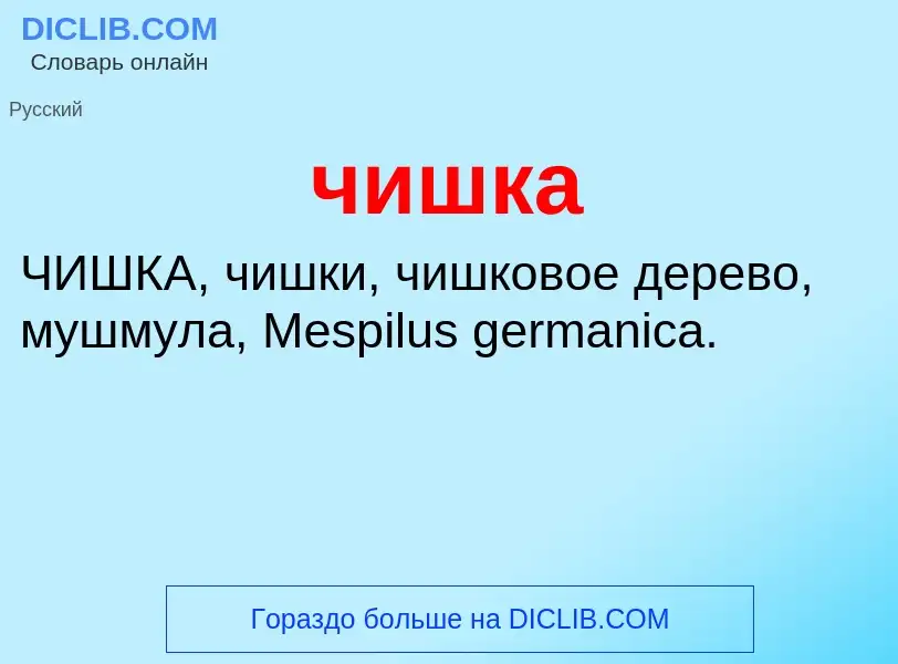 What is чишка - definition