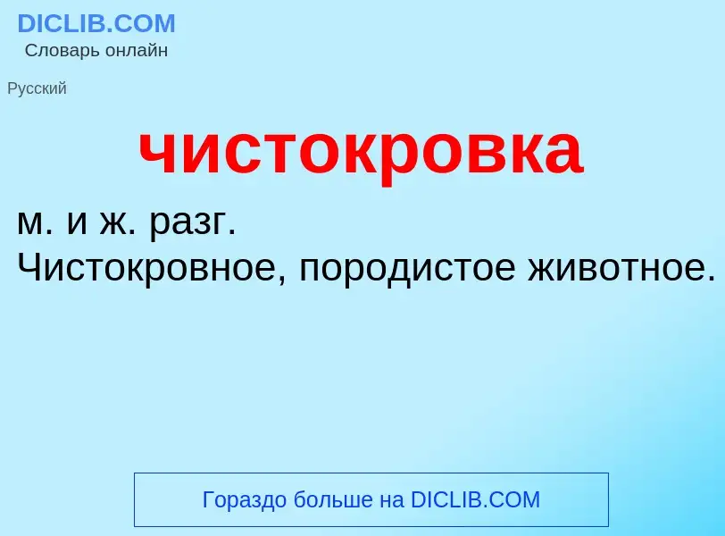 What is чистокровка - definition