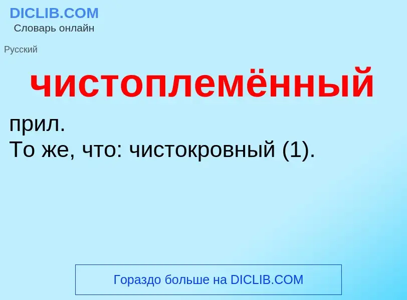 What is чистоплемённый - definition