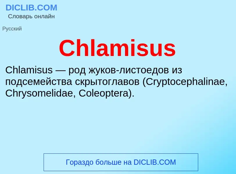 Что такое Chlamisus - определение