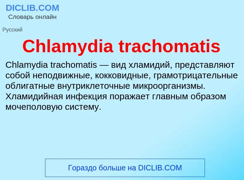 Что такое Chlamydia trachomatis - определение