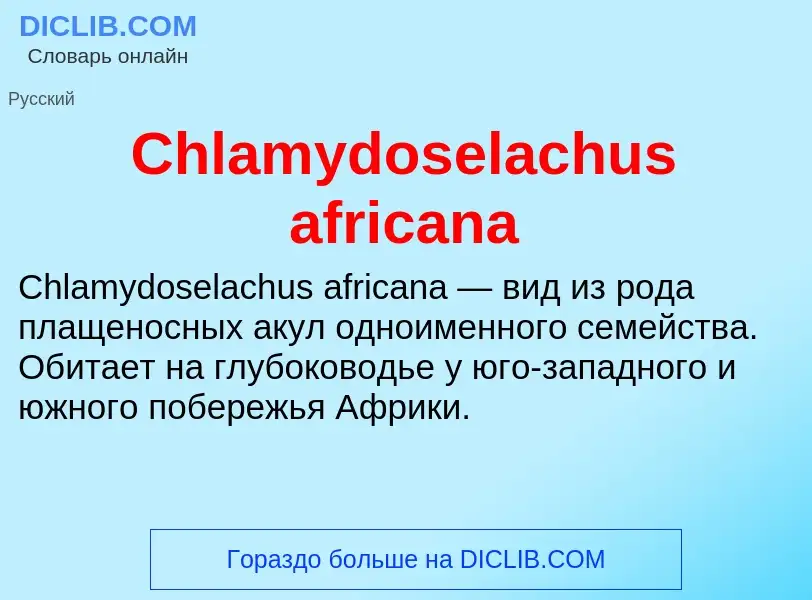 Что такое Chlamydoselachus africana - определение