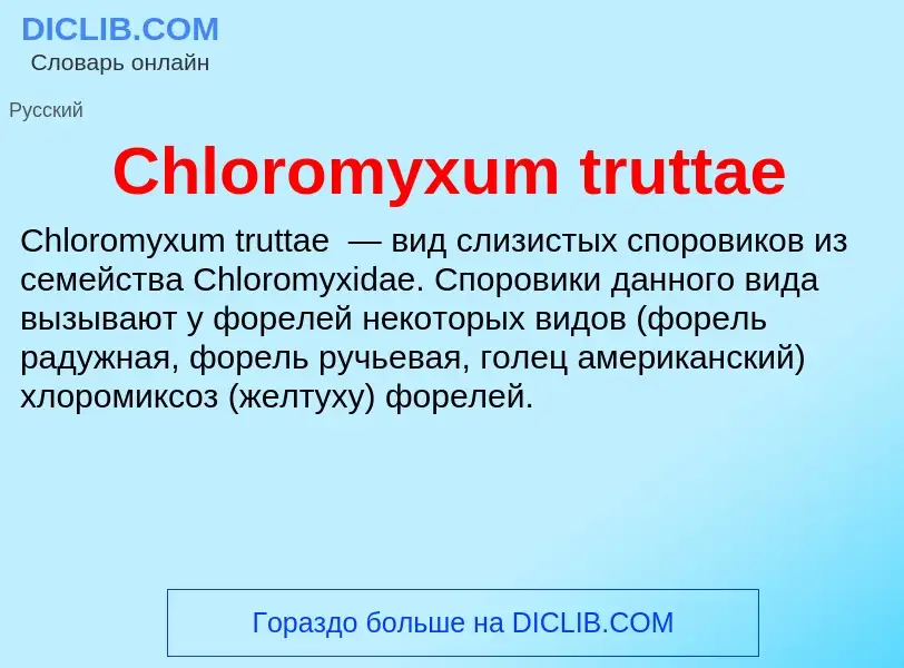 Что такое Chloromyxum truttae - определение