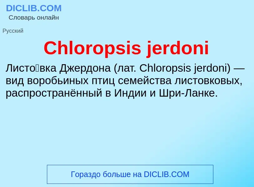 Что такое Chloropsis jerdoni - определение