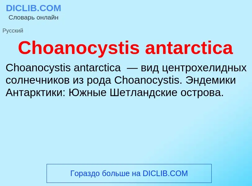 Что такое Choanocystis antarctica - определение