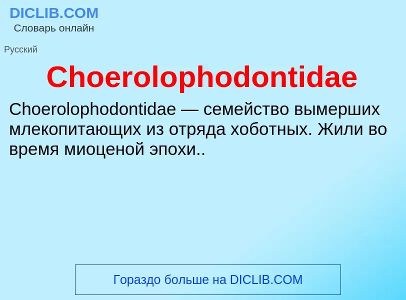 Что такое Choerolophodontidae - определение