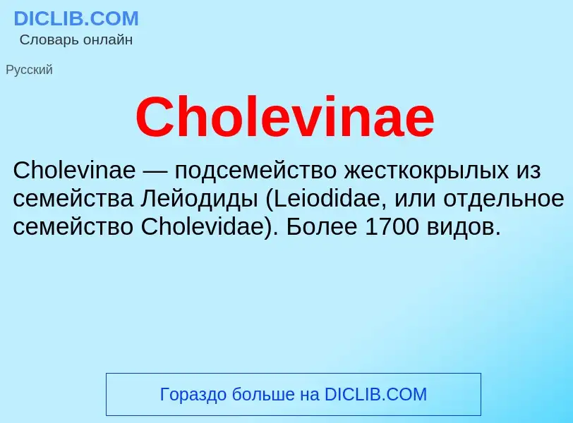 Что такое Cholevinae - определение