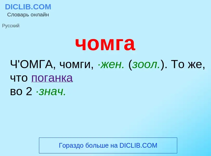 What is чомга - definition