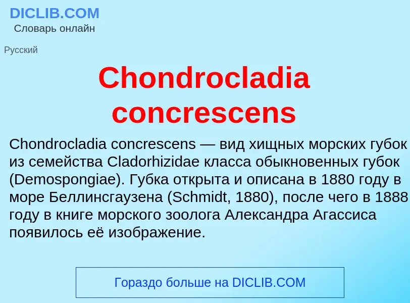 Что такое Chondrocladia concrescens - определение