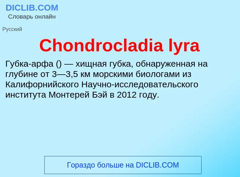 Что такое Chondrocladia lyra - определение