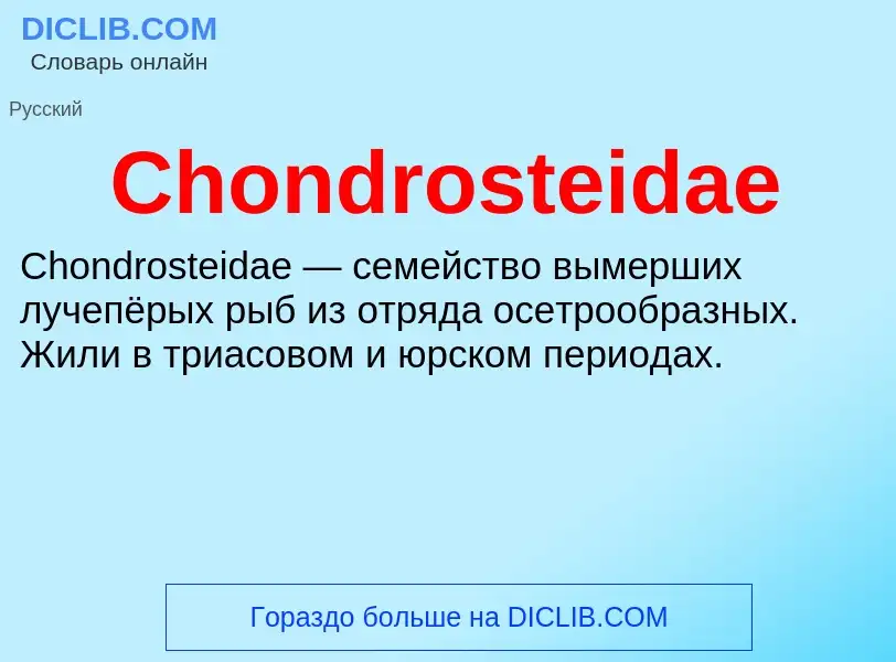 Что такое Chondrosteidae - определение