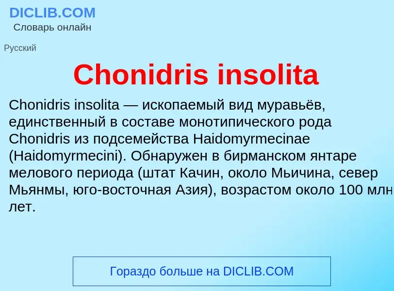 Что такое Chonidris insolita - определение