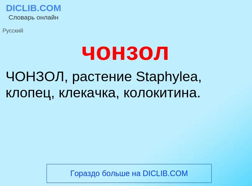 What is чонзол - definition