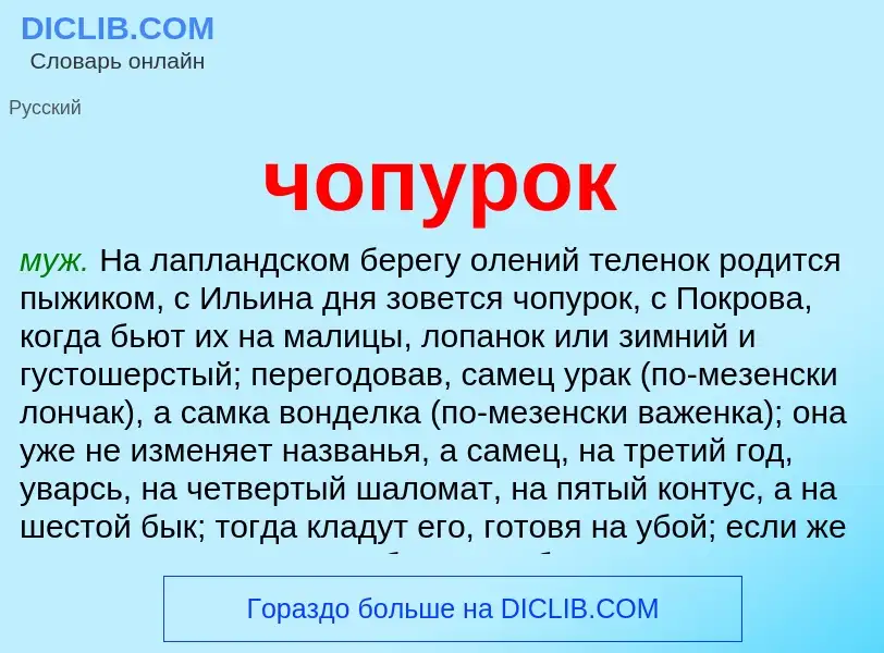 What is чопурок - definition