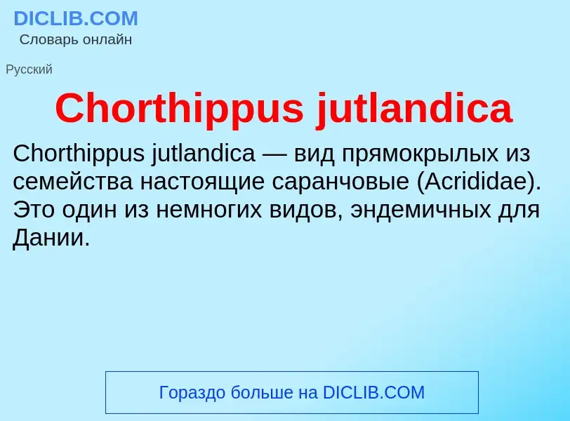 Что такое Chorthippus jutlandica - определение