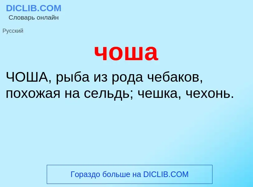 What is чоша - definition