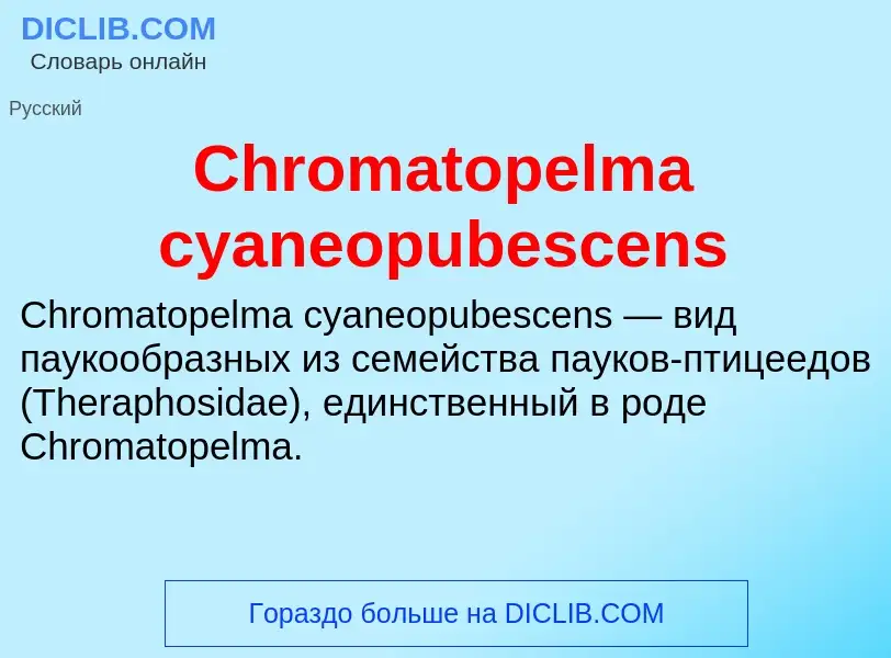 Что такое Chromatopelma cyaneopubescens - определение