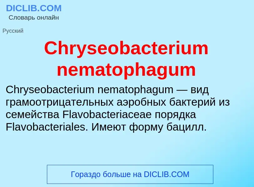 Что такое Chryseobacterium nematophagum - определение