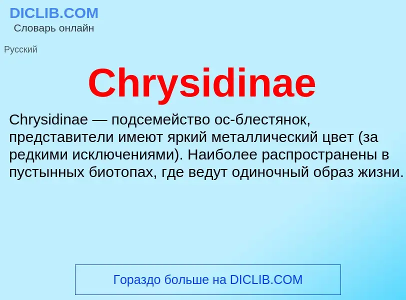 Что такое Chrysidinae - определение