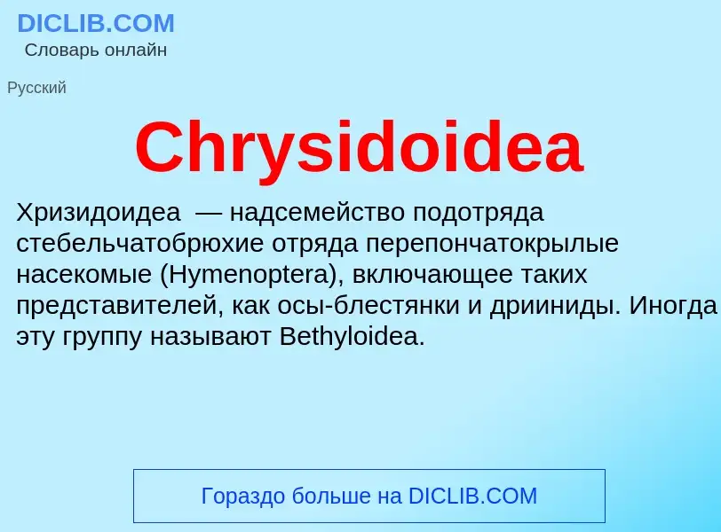 Что такое Chrysidoidea - определение