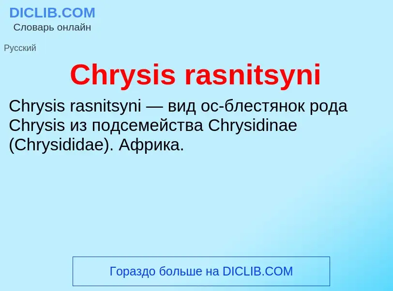 Что такое Chrysis rasnitsyni - определение