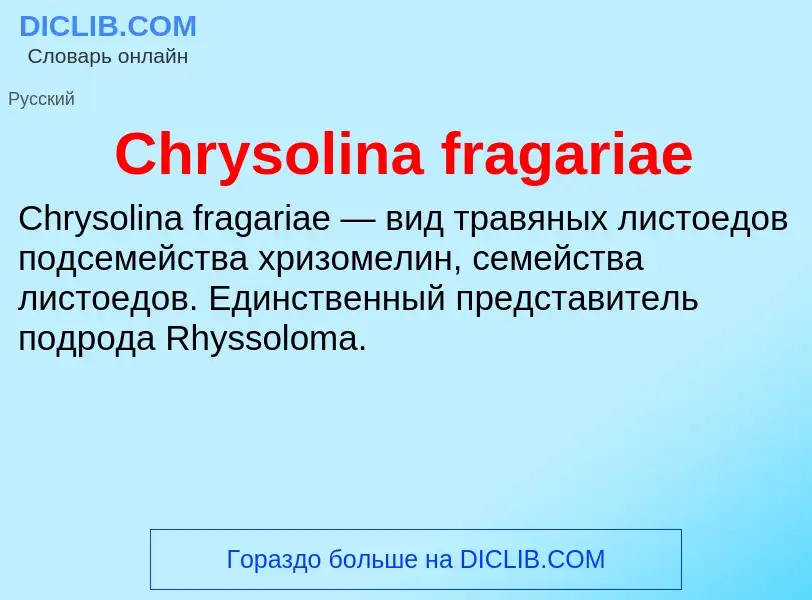 Что такое Chrysolina fragariae - определение