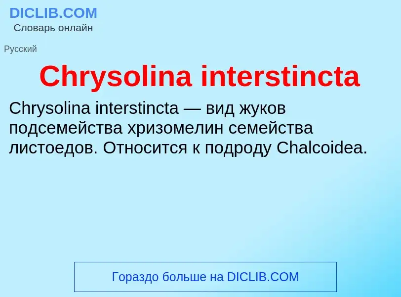 Что такое Chrysolina interstincta - определение