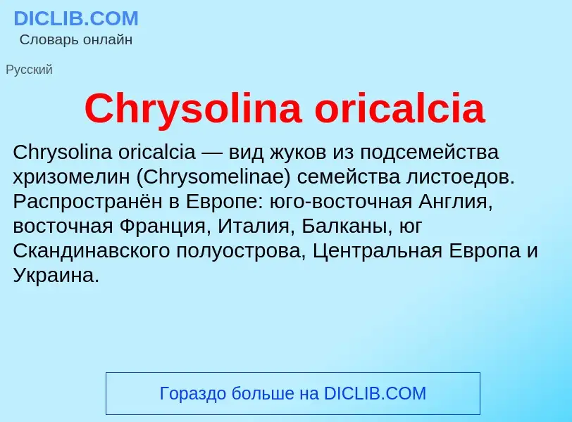 Что такое Chrysolina oricalcia - определение