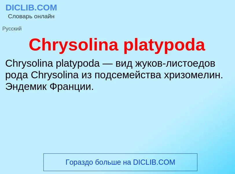 Что такое Chrysolina platypoda - определение