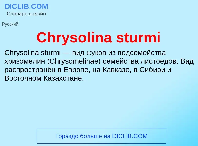 Что такое Chrysolina sturmi - определение