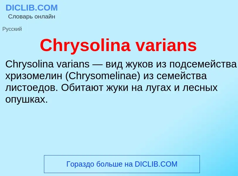 Что такое Chrysolina varians - определение