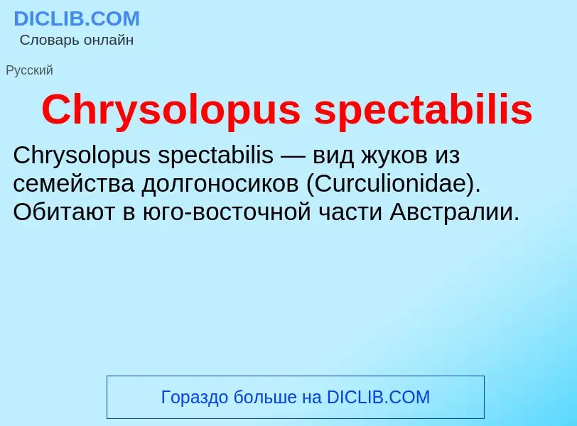 Что такое Chrysolopus spectabilis - определение