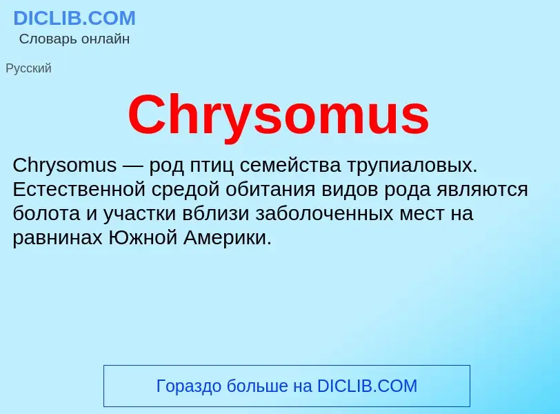 Что такое Chrysomus - определение