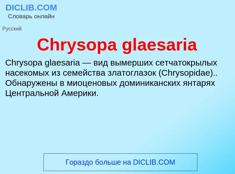 Что такое Chrysopa glaesaria - определение