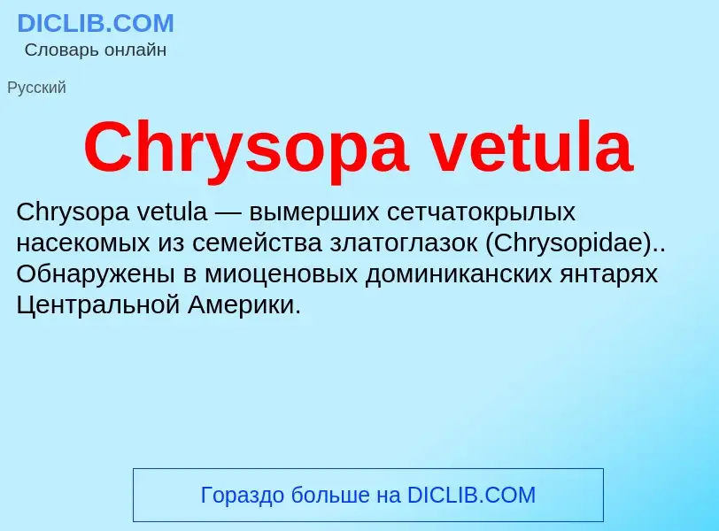 Что такое Chrysopa vetula - определение