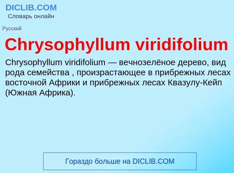 Что такое Chrysophyllum viridifolium - определение