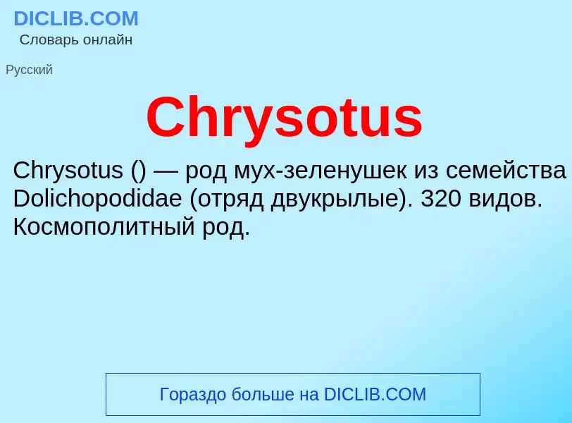 Что такое Chrysotus - определение