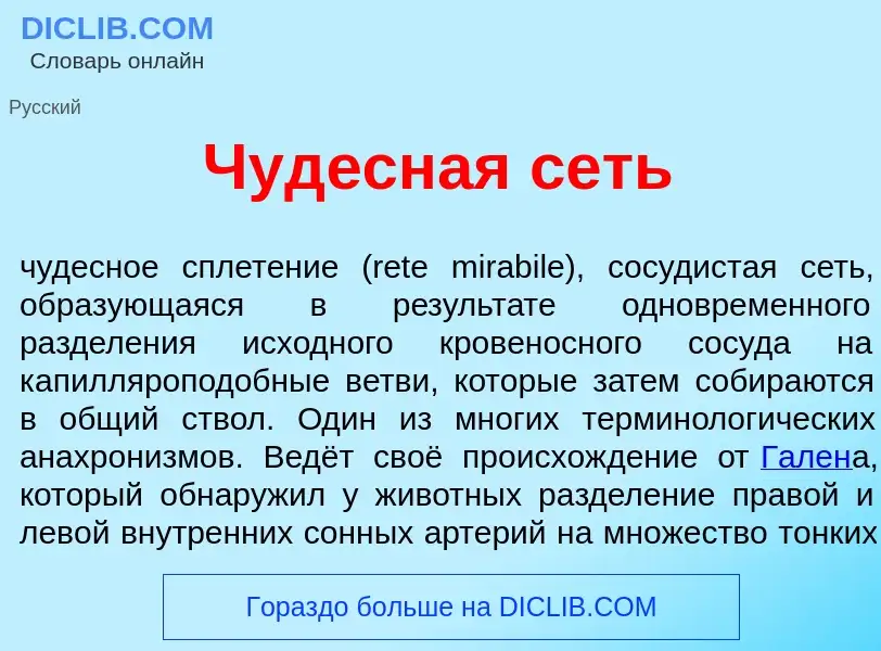 O que é Чуд<font color="red">е</font>сная сеть - definição, significado, conceito