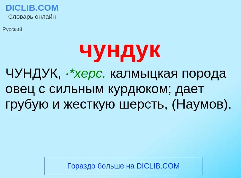 Was ist чундук - Definition