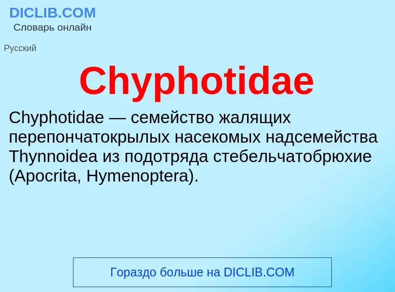 Что такое Chyphotidae - определение