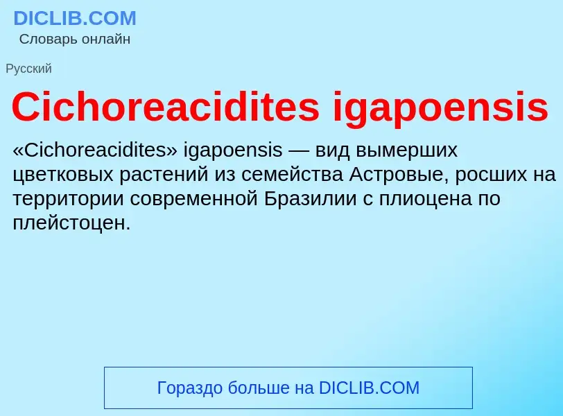 Что такое Cichoreacidites igapoensis - определение