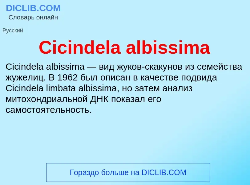 Что такое Cicindela albissima - определение