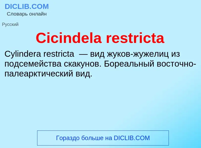 Что такое Cicindela restricta - определение