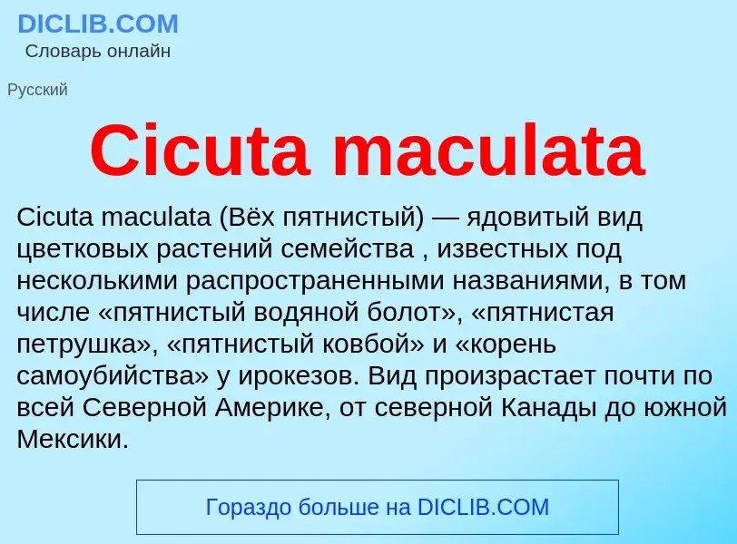 Что такое Cicuta maculata - определение